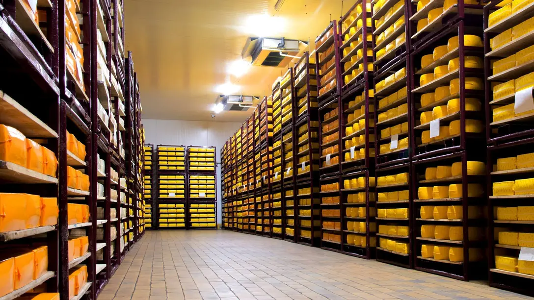 Contrôle de l'humidité et séchage pour l'affinage des fromages et les laiteries