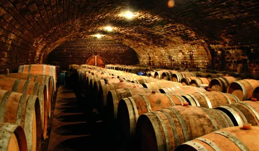 Contrôle de l'humidité et séchage pour les caves à vin et les brasseries