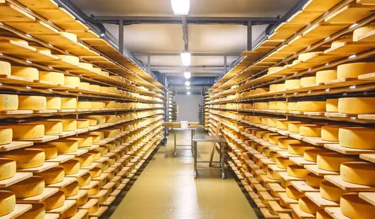 Cooling for cheese and dairy processing