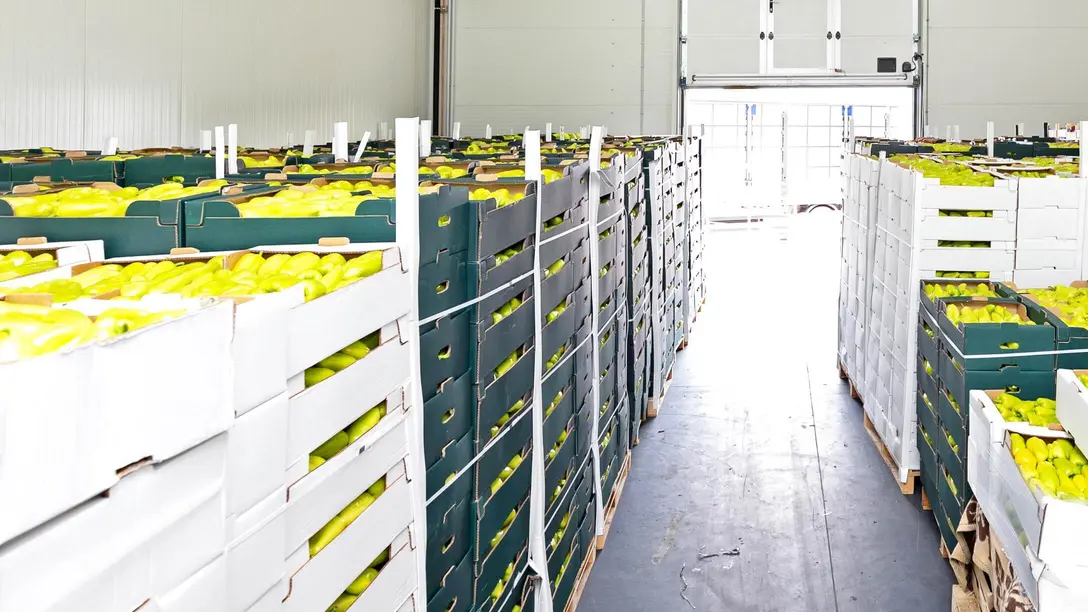 Cooling for fruit and vegetable storage