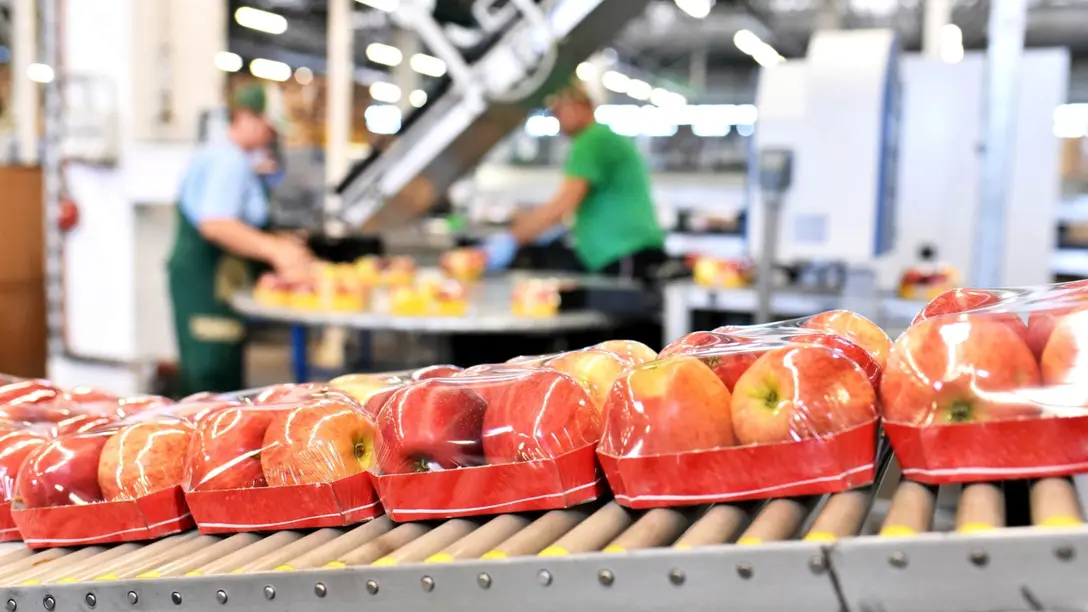 Ventilation for food processing plants