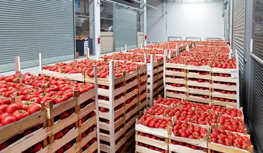 Ventilation for fruit and vegetable storage