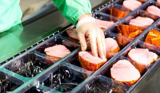 Ventilation for meat, poultry and fish factories