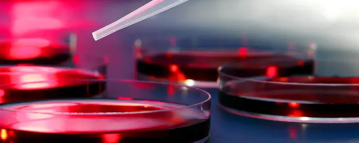 Contrôle de l'humidité et séchage pour les installations de recherche et de développement