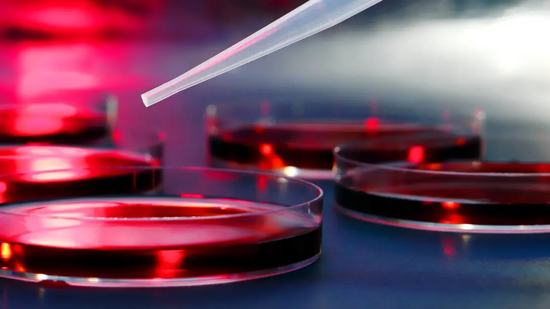 Contrôle de l'humidité et séchage pour les installations de recherche et de développement