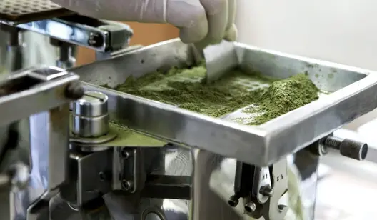 Ventilation for active pharmaceutical ingredient manufacturing