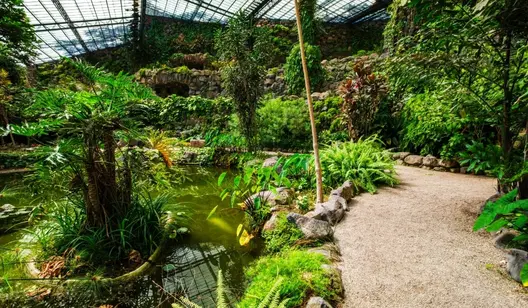 Humidity control and drying for indoor botanical gardens