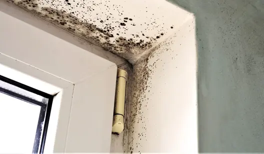 Air cleaners for rental companies