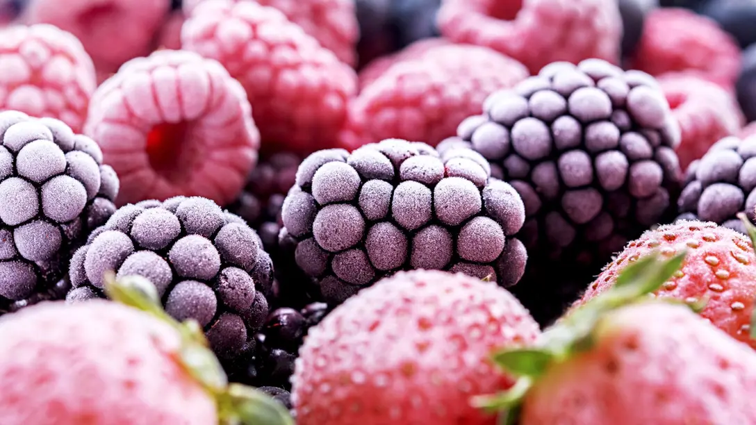 Contrôle de l'humidité et séchage pour l'emballage et le transport des produits surgelés