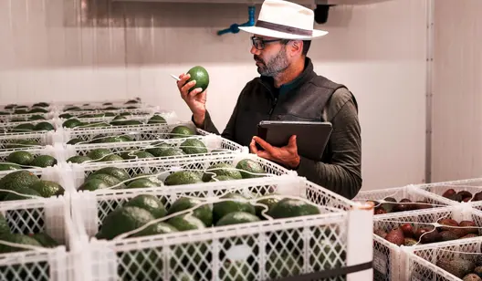 Contrôle de l'humidité et séchage pour la logistique de la chaîne du froid
