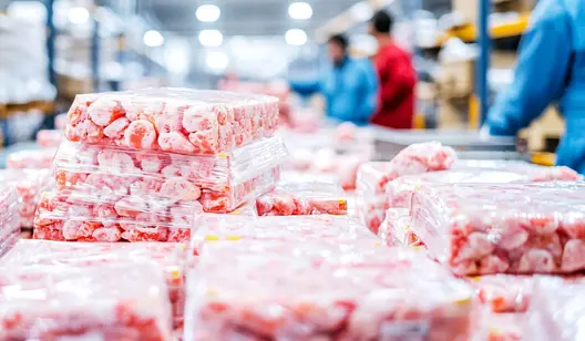 Contrôle de l'humidité et séchage pour les tunnels de lyophilisation et les entrepôts frigorifiques