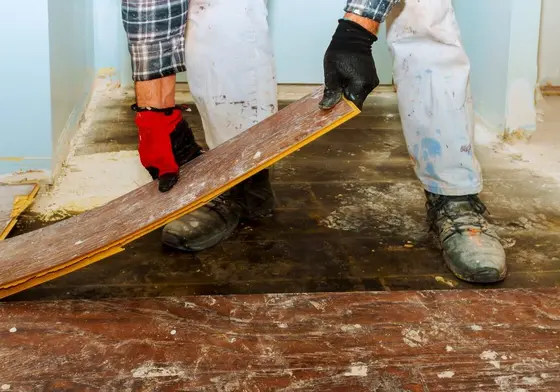 Assécher les sous-sols humides avec une rapidité et un succès inégalés