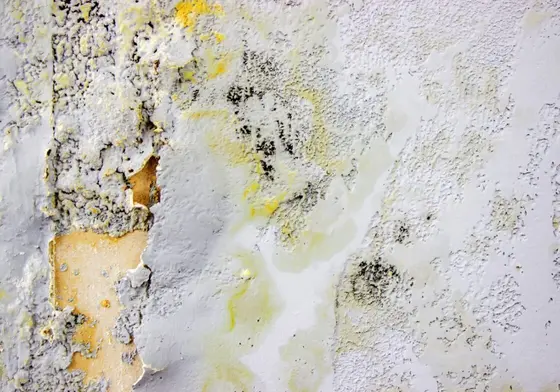 Soutenir la santé des personnes au fur et à mesure de l'avancement de vos projets d'assèchement commercial