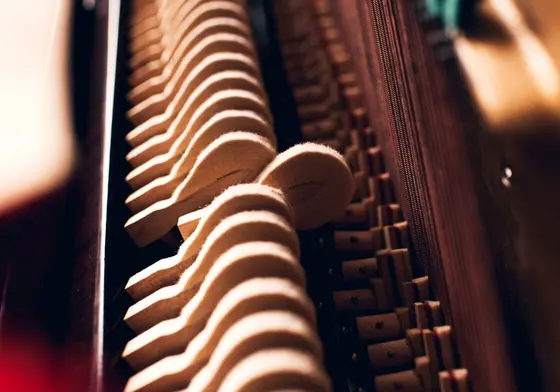 Des solutions de contrôle de l'humidité à la pointe du marché permettent de prendre soin de l'ensemble des instruments