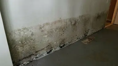 Rsz 1master wdr shutterstock 1040733682