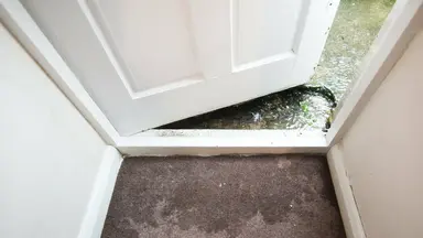 Rsz shutterstock 169706381