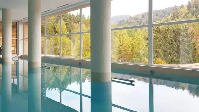 Aperçu du contenu sur les piscines écologiques