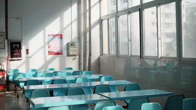 Aperçu du contenu sur les écoles