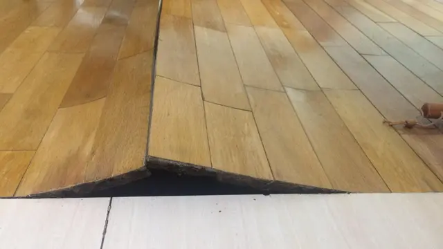 Dantherm WDR revêtement web