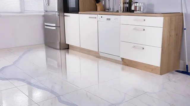 Dantherm WDR cuisine web