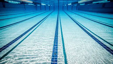 Shutterstock 161204561 pour le web