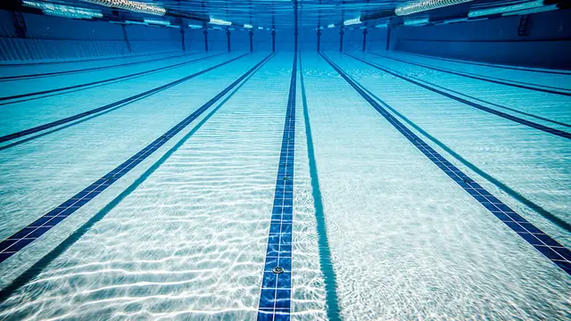 Shutterstock 161204561 pour le web