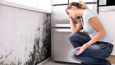 Mould in the home can make you ill 01
