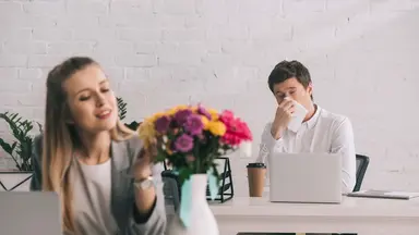 Voir le contenu du pollen de Heylo Insights