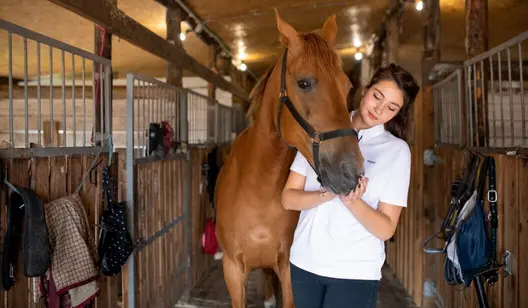 Contrôle de l'humidité et séchage des étables et des écuries
