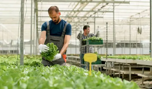 Contrôle de l'humidité et séchage des bâtiments agricoles