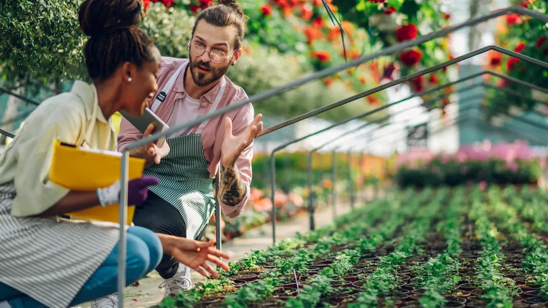 Chauffage pour serres et horticulture