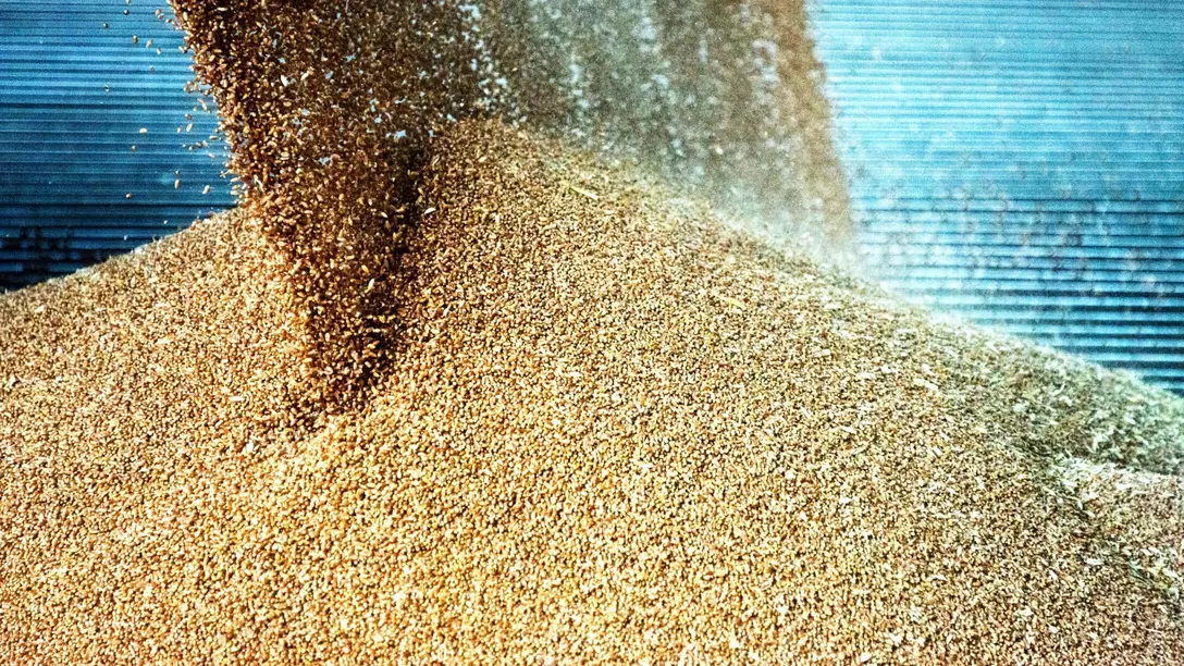 Chauffage pour le séchage des céréales et des récoltes