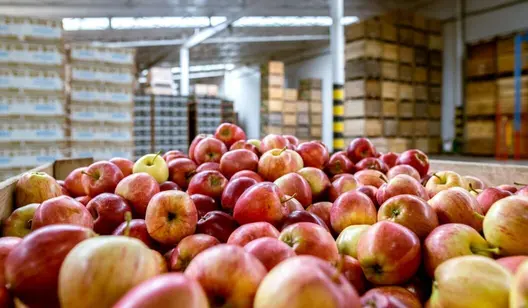 Chauffage des installations de stockage