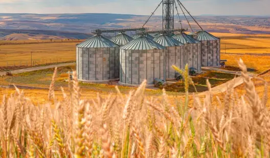 Solutions de refroidissement pour le stockage des céréales