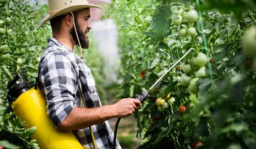 Solutions de refroidissement pour les bâtiments agricoles