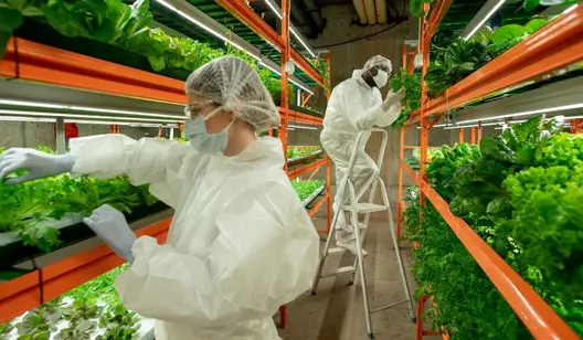 Ventilation pour l'agriculture verticale et d'intérieur