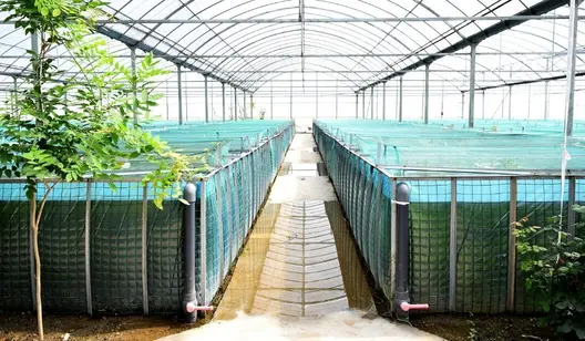 Ventilation pour la pisciculture et l'aquaculture