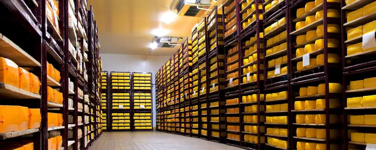 Contrôle de l'humidité et séchage pour l'affinage des fromages et les laiteries