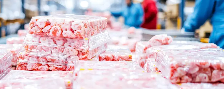 Contrôle de l'humidité et séchage pour les tunnels de lyophilisation et les entrepôts frigorifiques