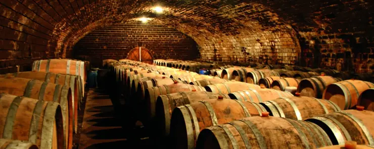 Contrôle de l'humidité et séchage pour les caves à vin et les brasseries