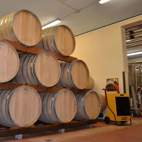 Master DH séchage d'une installation de production de vin