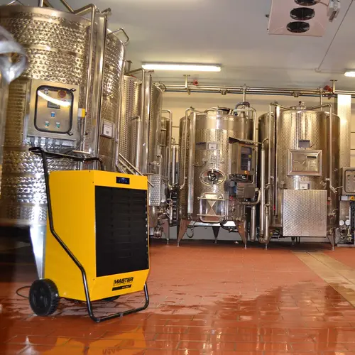 Master DH séchant une cave à vin