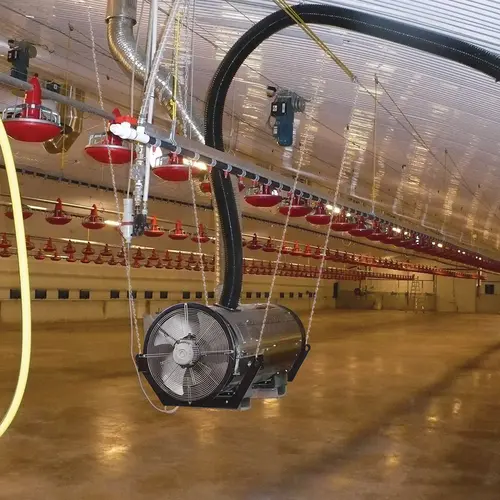 Sovelor CYNOX poulailler