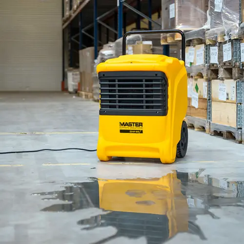 Master DHP 65 entrepôt