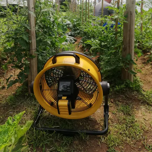 Master DFB 16 PORTA-AIR serre