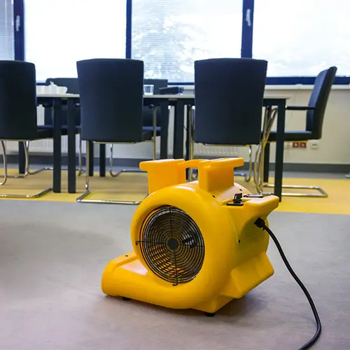 Master CD 5000 séchage de tapis