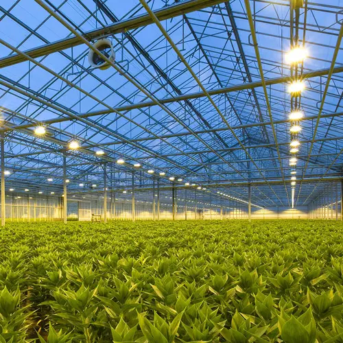 Trotec BC21 Application 01 web