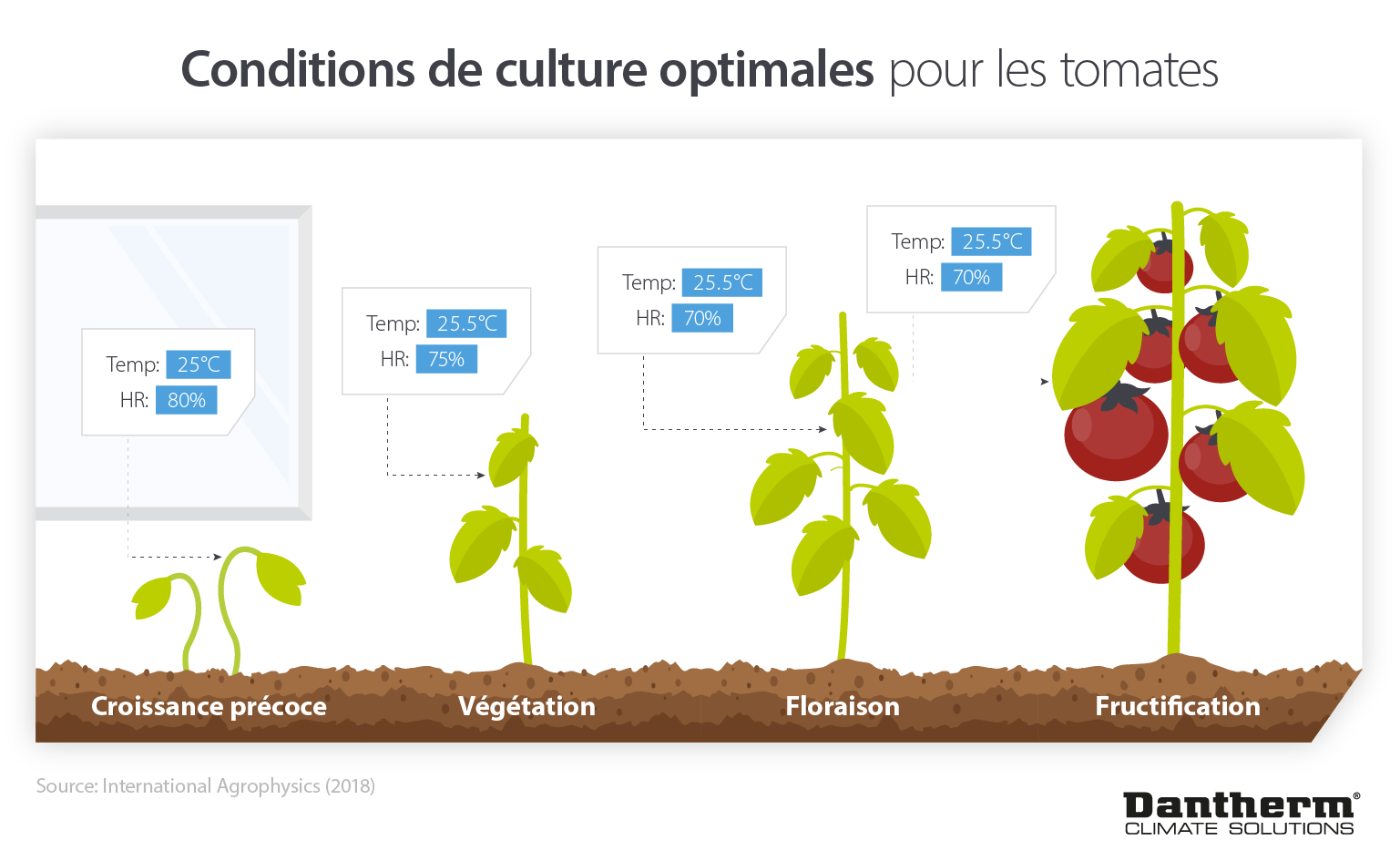 How vertical farms can maintain optimal growing conditions using less energy and resources - infographic image